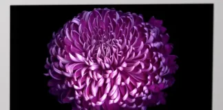 Linha de TVs LG 2017