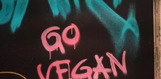 As melhores pepitas de frango à base de plantas você deve tentar