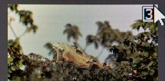 Qual é a diferença entre JPG e JPEG