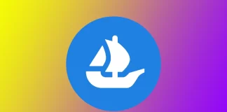 Como ser verificado no OpenSea