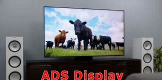 O que é a tela ADS: Explicação sobre ADS vs. IPS